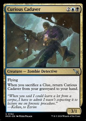 Curious Cadaver Curious Cadaver