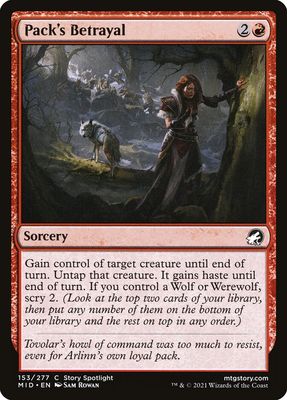 Pack's Betrayal Pack's Betrayal