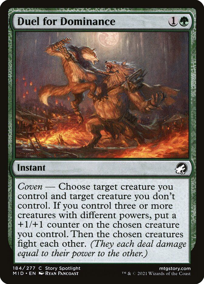 Duel for Dominance Duel for Dominance