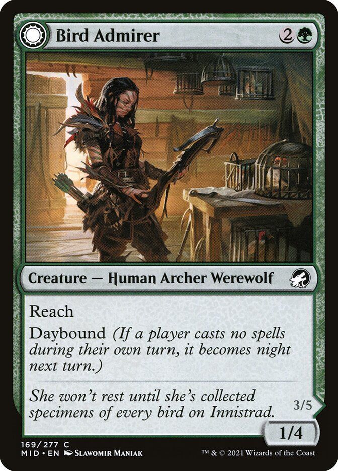 Bird Admirer // Wing Shredder Bird Admirer // Wing Shredder