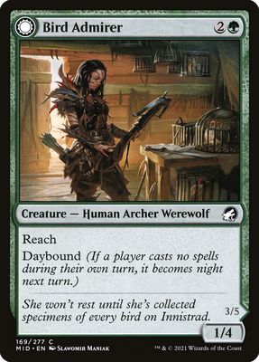 Bird Admirer // Wing Shredder Bird Admirer // Wing Shredder