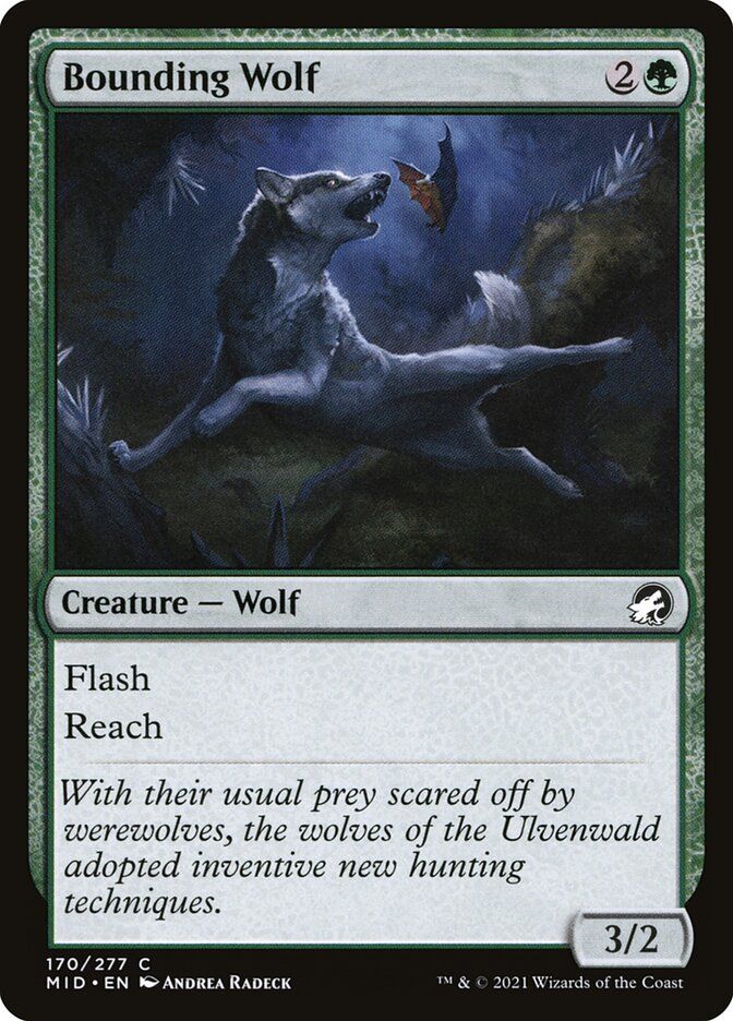 Bounding Wolf Bounding Wolf
