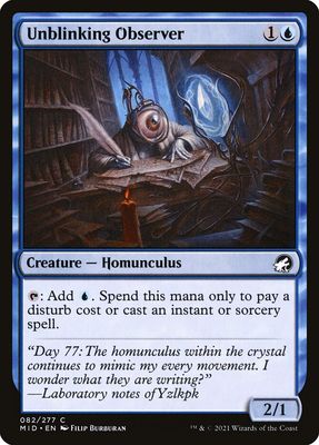 Unblinking Observer Unblinking Observer
