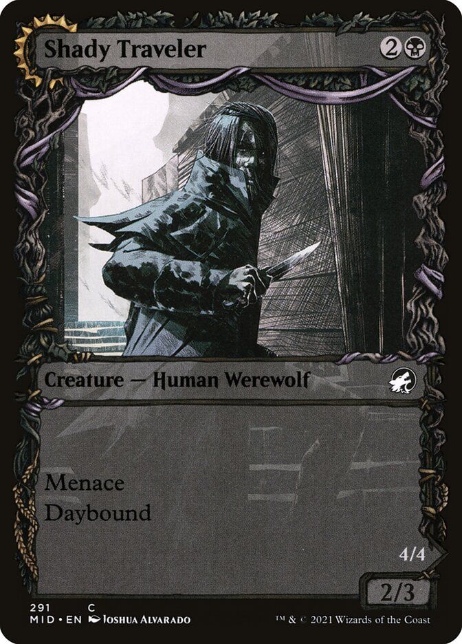 Shady Traveler // Stalking Predator Shady Traveler // Stalking Predator
