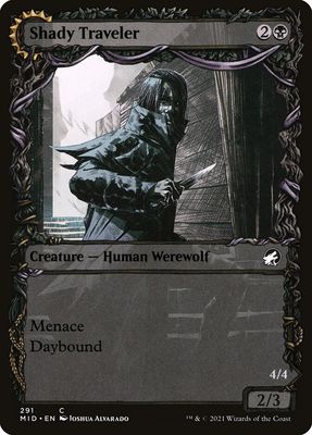 Shady Traveler // Stalking Predator Shady Traveler // Stalking Predator