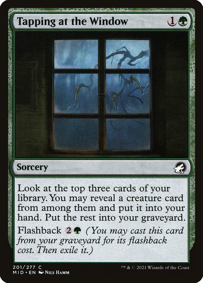 Tapping at the Window Tapping at the Window