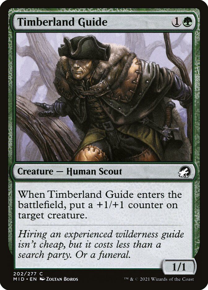 Timberland Guide Timberland Guide