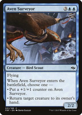 Aven Surveyor Aven Surveyor