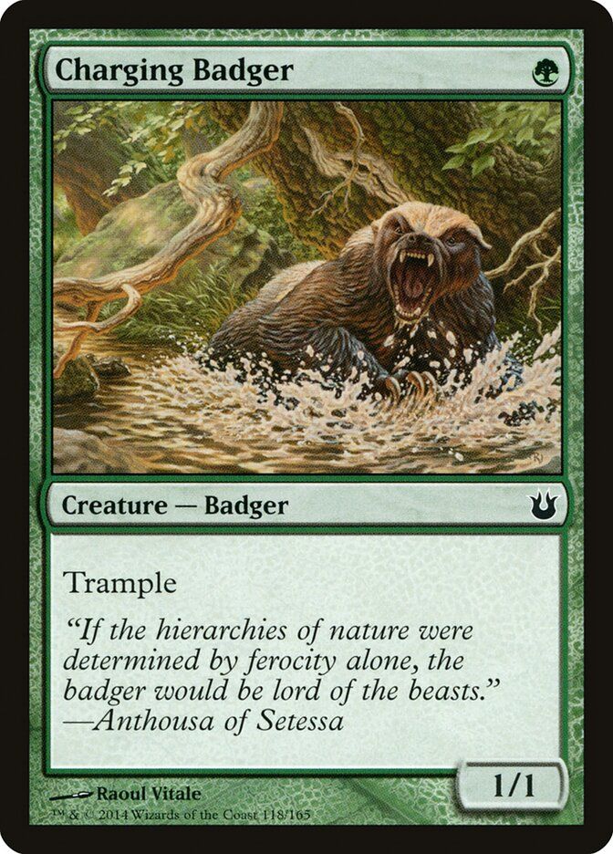 Charging Badger Charging Badger