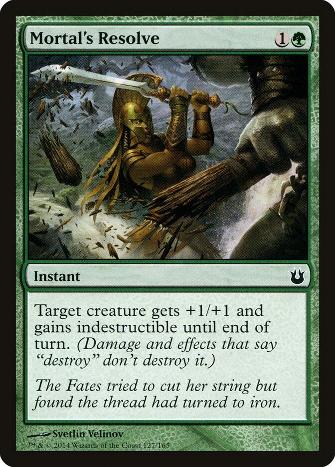 Mortal's Resolve Mortal's Resolve