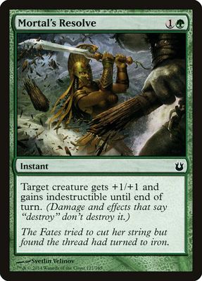 Mortal's Resolve Mortal's Resolve