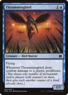 Thrummingbird Thrummingbird
