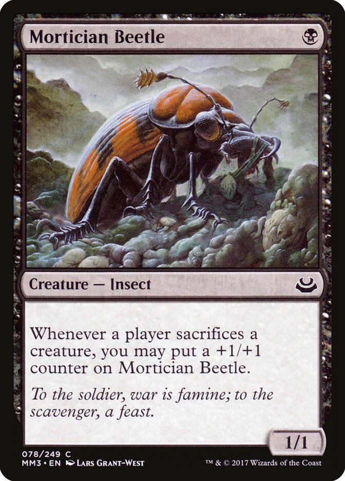 Mortician Beetle Mortician Beetle