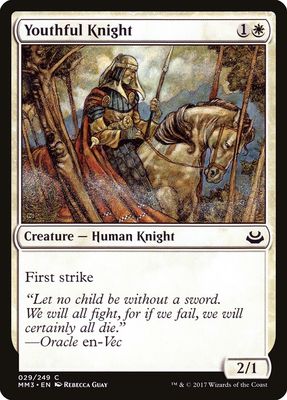 Youthful Knight Youthful Knight