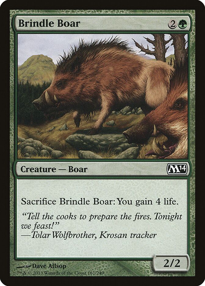 Brindle Boar Brindle Boar