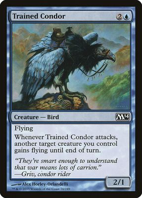 Trained Condor Trained Condor