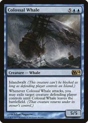Colossal Whale Colossal Whale