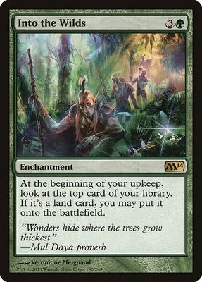 Into the Wilds Into the Wilds
