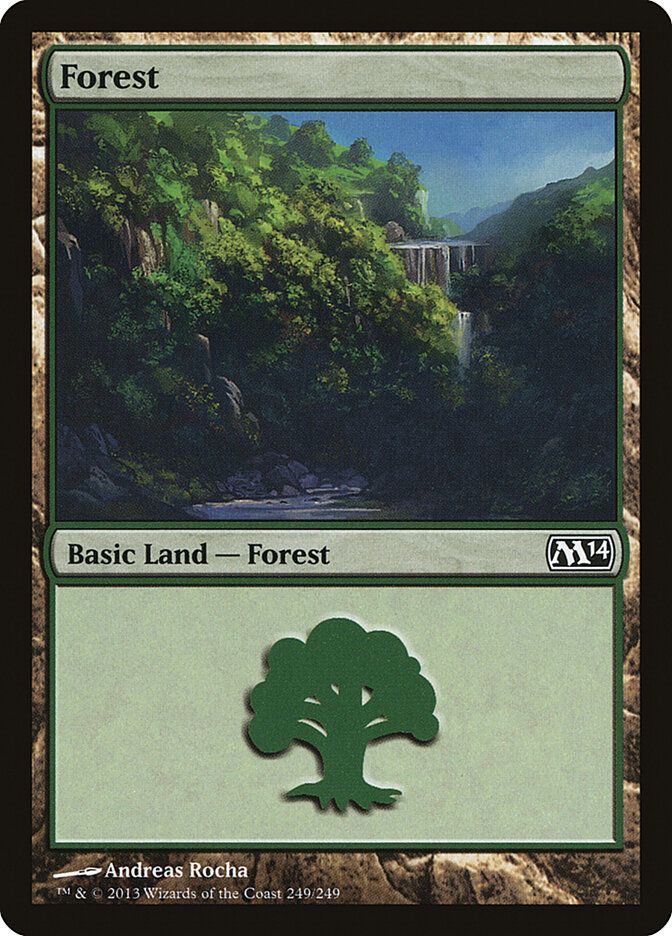 Forest Forest