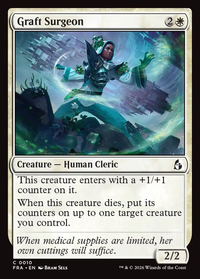 Graft Surgeon Graft Surgeon