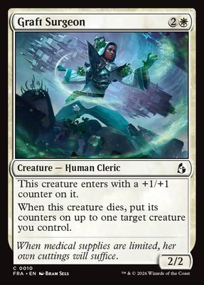 Graft Surgeon Graft Surgeon