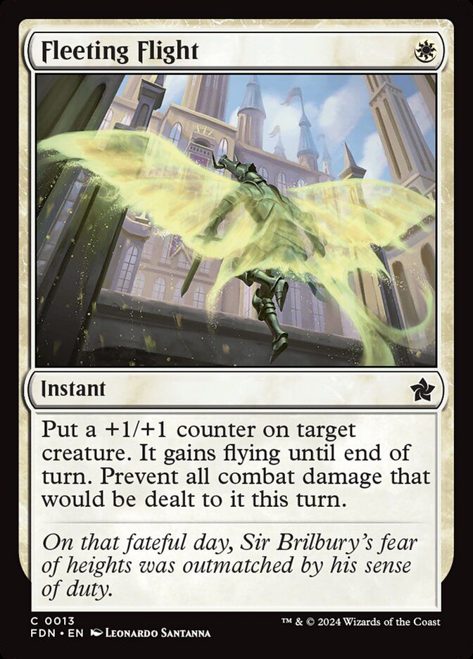 Fleeting Flight Fleeting Flight