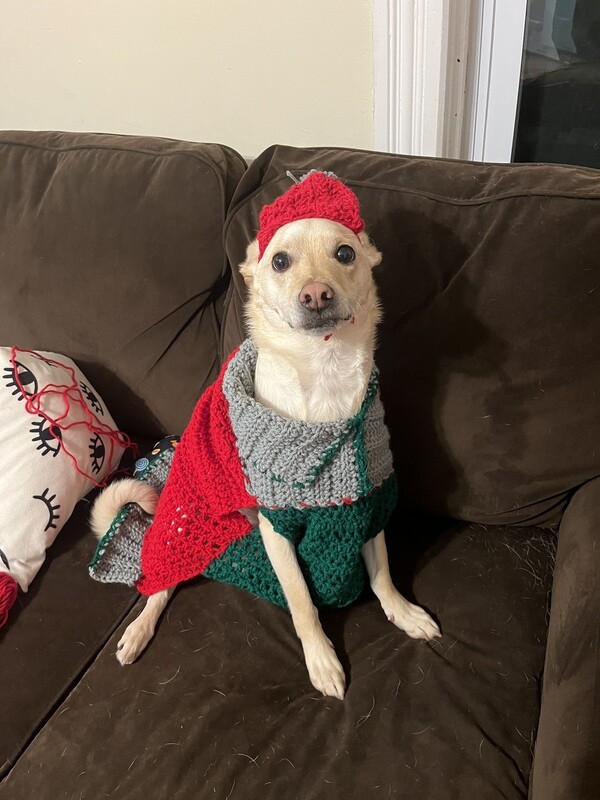 Doggo Sweater