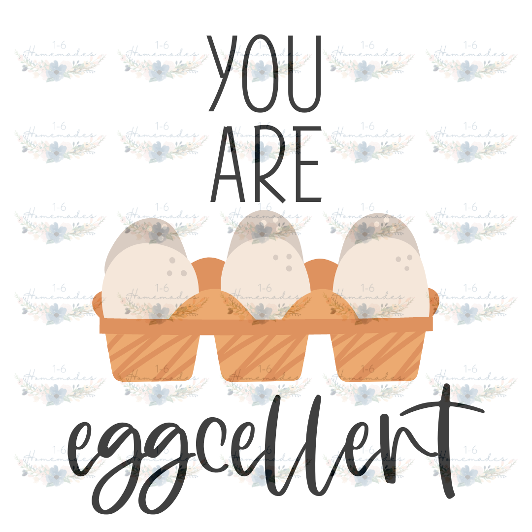 Digital PNG File - You Are Eggcellent