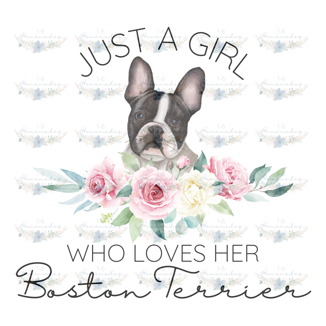 Digital PNG File - Who Loves Her Boston Terrier