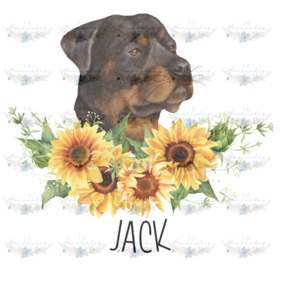 Digital PNG File -Rottweiler