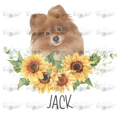 Digital PNG File -Pomeranian