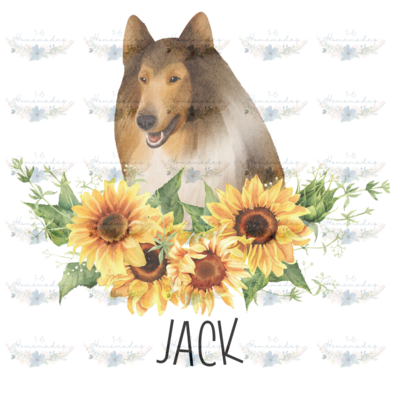 Digital PNG File -Rough Collie