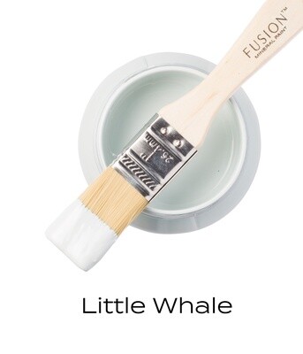 Little Whale