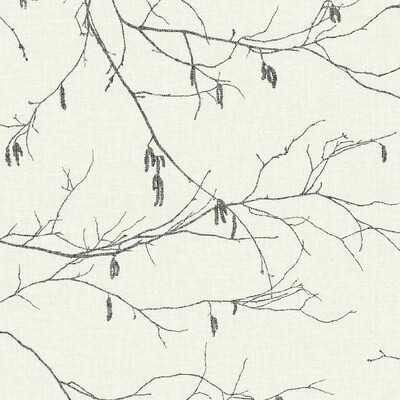 Winter Branches in Black / White