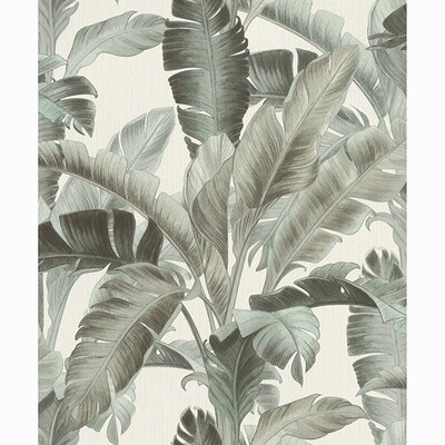 Palm Frond in Sage