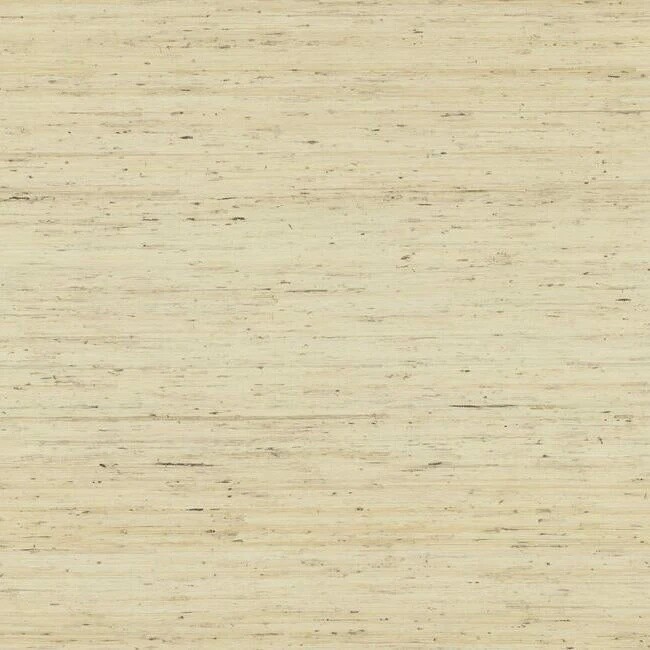 Arrowroot (CP9345)
