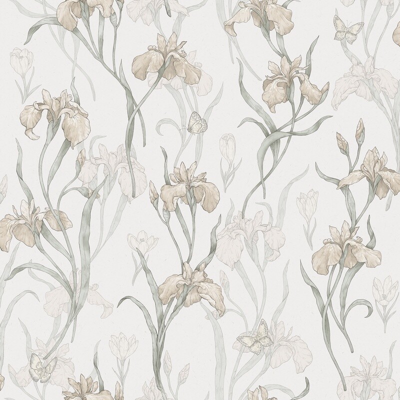 Iris