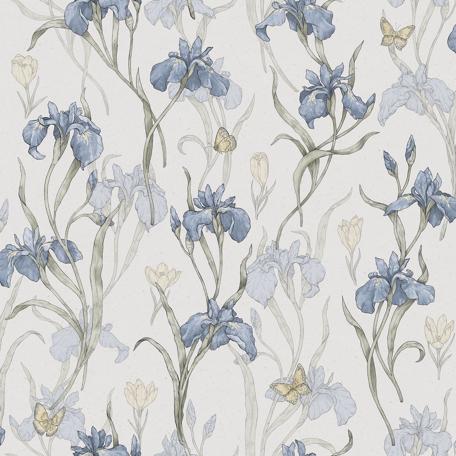 Iris, Colour: Sky Blue (S10134)