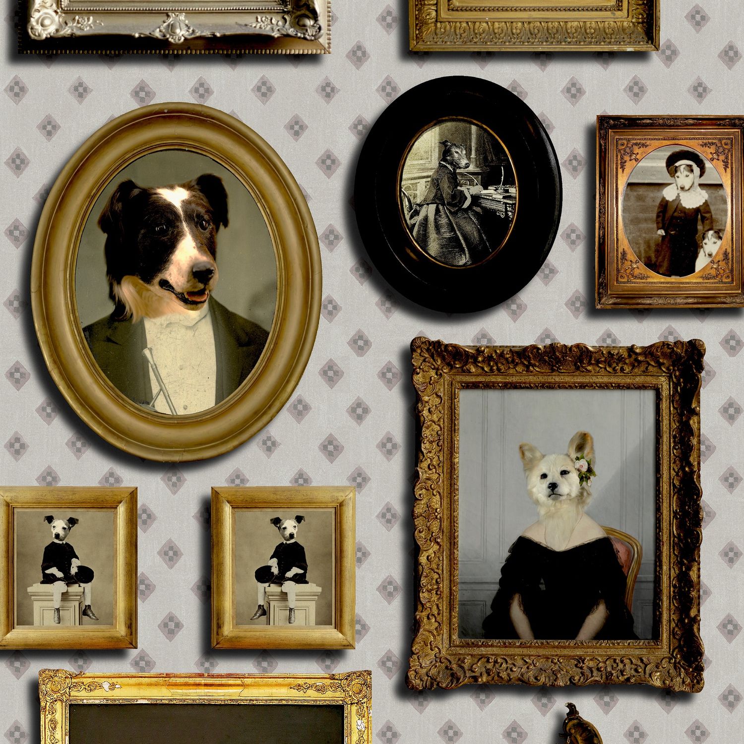 Top Dog, Cream