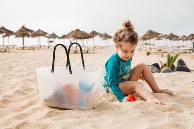 Large Transparent Hinza Bag