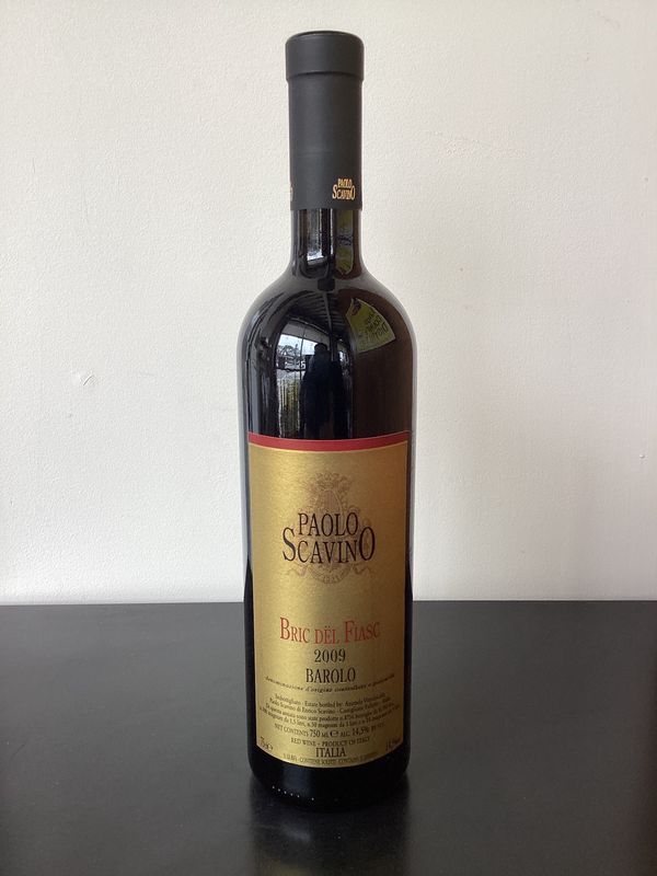 Paolo Scavino Bric del Fiasc Barolo DOCG, Italy 2009 Paolo Scavino Bric del Fiasc Barolo DOCG, Italy 2009