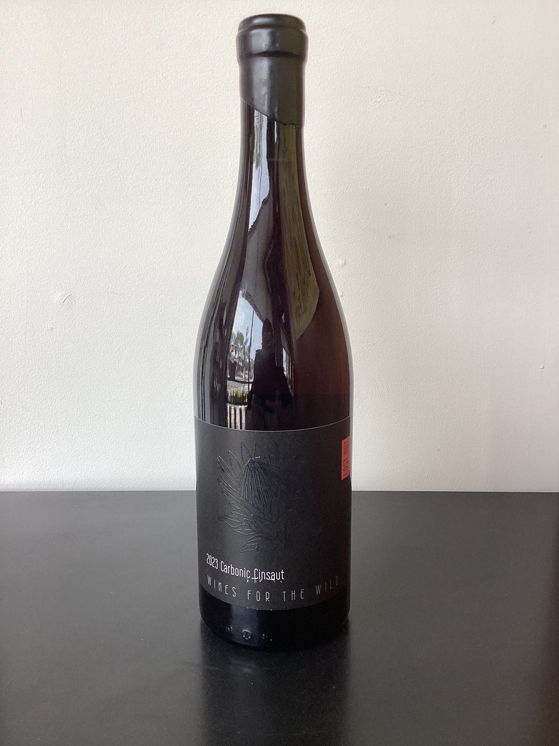 Lost Boy Cinsault Paarl, South Africa 2023 (750ml)