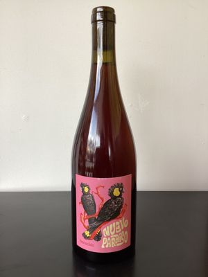 Borachio 'Nuevo Paraiso' Red Adelaide Hills, Australia 2023 (750ml) Borachio 'Nuevo Paraiso' Red Adelaide Hills, Australia 2023 (750ml)