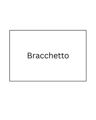 Bracchetto