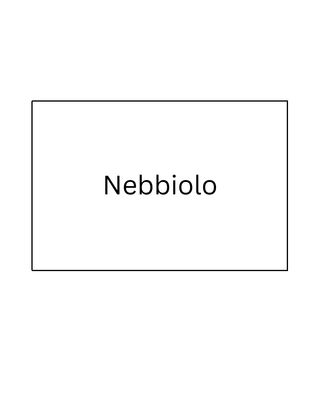 Nebbiolo