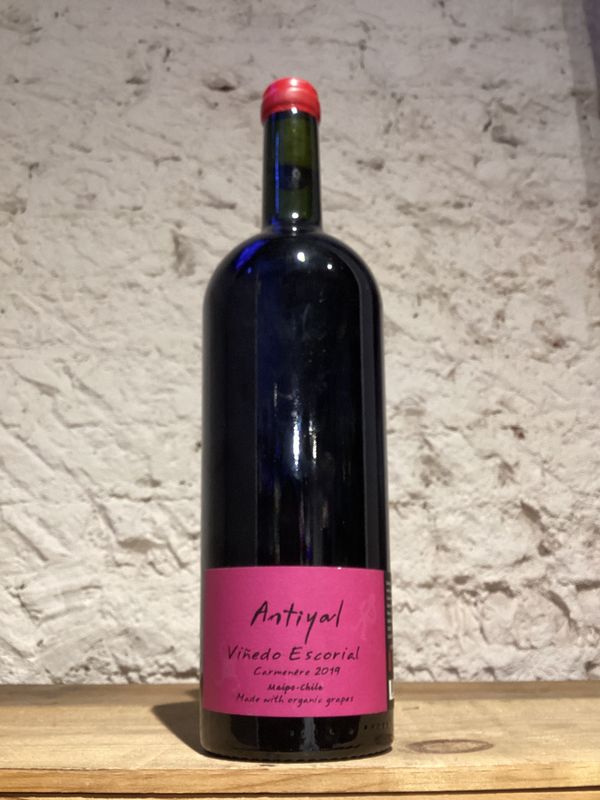(2525 F1-B11) Antiyal Carmenere Viñedo Escorial Maipo Valley, Chile 2019 (750ml)