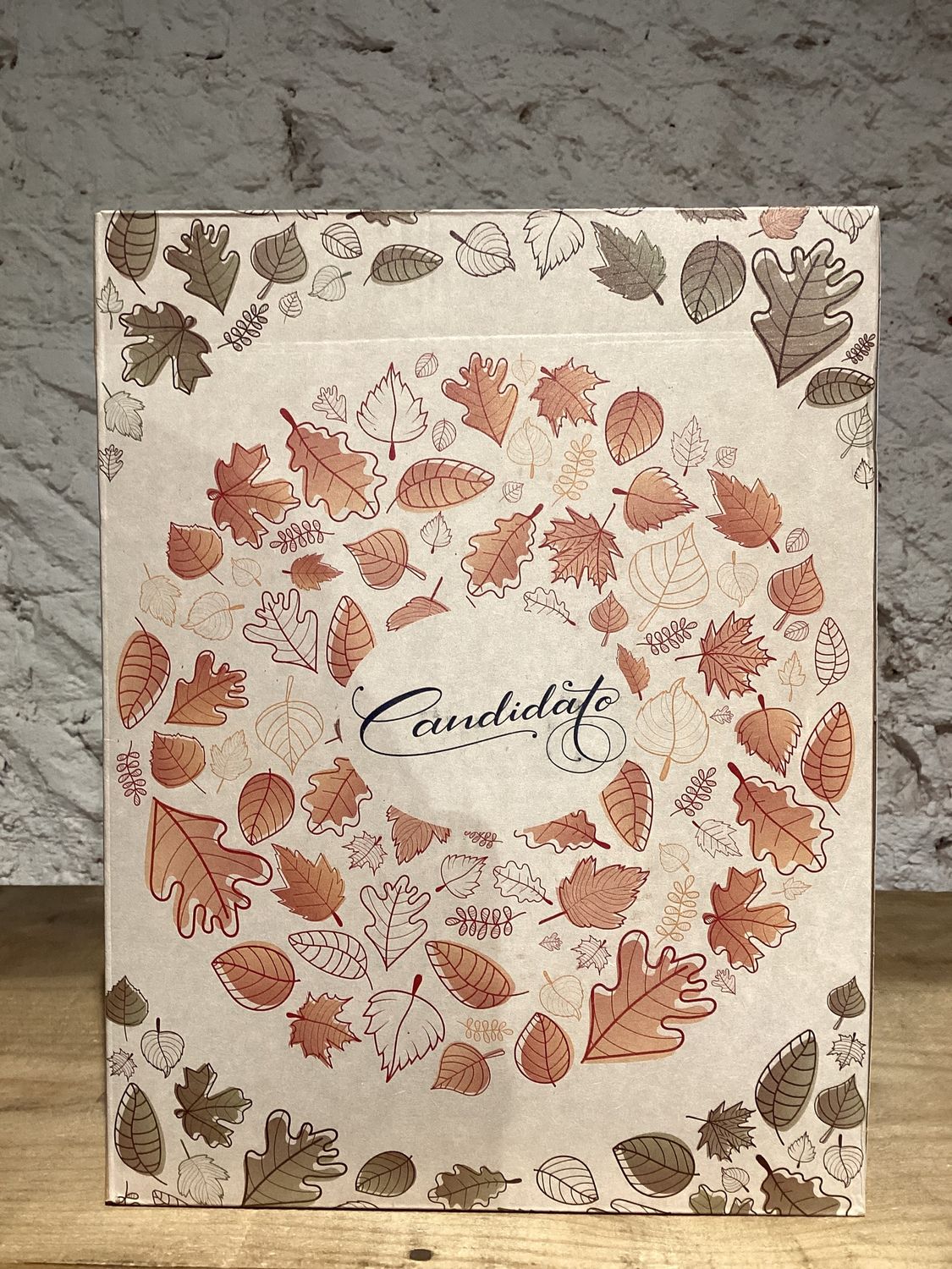 Candidato Vino de la Tierra de Castilla Red Wine (bag in a box 3L)