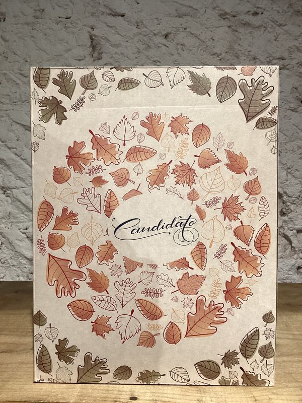 Candidato Vino de la Tierra de Castilla Red Wine (bag in a box 3L)