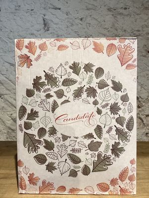 Candidato Viura Vino De La Tierra De Castilla, Spain (Bag in a Box 3L) Candidato Viura Vino De La Tierra De Castilla, Spain (Bag in a Box 3L)