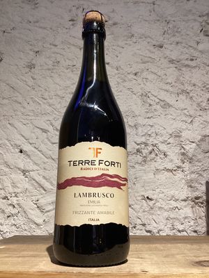 Caviro Terre Forti Lambrusco Frizzante Emilia IGT Emilia-Romagna, Italy, NV (750ml)
